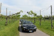 Le Jaguar nella zona del Prosecco e Cartize (128/152)